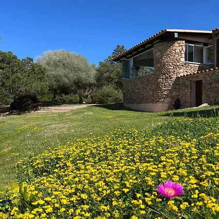 Villa House On The - Porto Rotondo