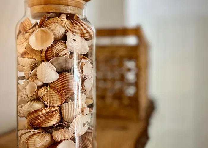 House On The - Villa Porto Rotondo